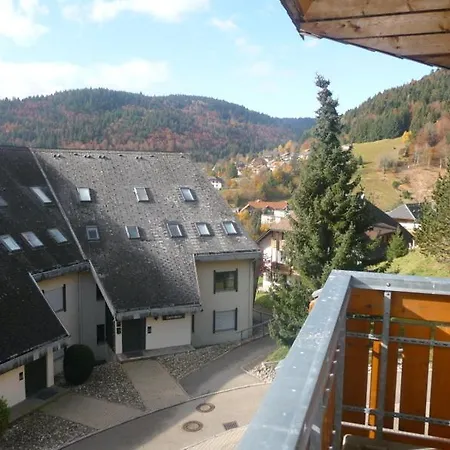 Haus Herzogenhorn - Hornberg Todtmoos Eksteriør billede