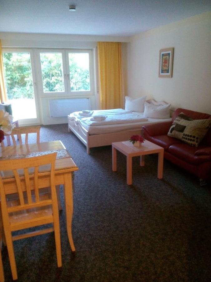 Haus Herzogenhorn - Hornberg Apartment